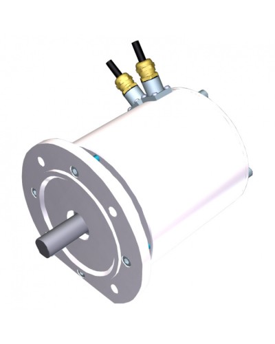 Электродвигатель FROG-MD Came 119RIA080 в Пскове Запчасти для шлагбаумов и автоматики Pintop.ru