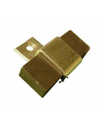 Магнит FROG AE Came 119RIA083 в Пскове Запчасти для шлагбаумов и автоматики Pintop.ru