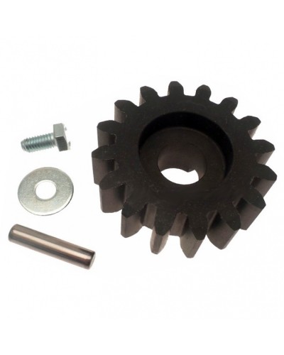 Шестерня ведущая BZ Came 119RIBZ005 в Пскове Запчасти для шлагбаумов и автоматики Pintop.ru