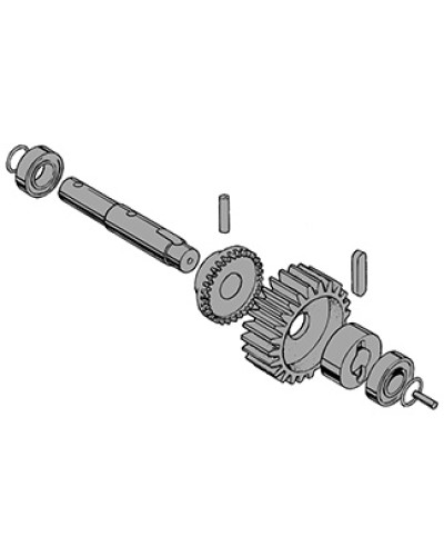 Вал в сборе C-BY Came 119RIC031 в Пскове Запчасти для шлагбаумов и автоматики Pintop.ru