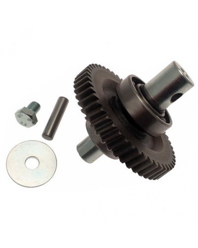 Шестерня редуктора FAST в сборе Came 119RID229 в Пскове Запчасти для шлагбаумов и автоматики Pintop.ru