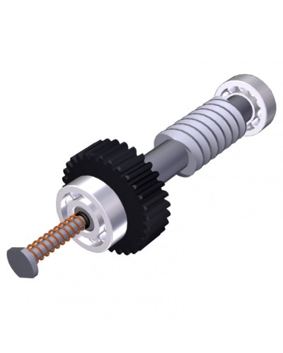 Червяк редуктора FAST40 Came 119RID374 в Пскове Запчасти для шлагбаумов и автоматики Pintop.ru