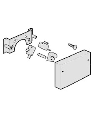 Микровыключатели G4000, G3750 Came 119RIG040 в Пскове Запчасти для шлагбаумов и автоматики Pintop.ru