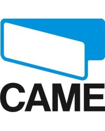 Рычаг Came 119RIG158 в Пскове Запчасти для шлагбаумов и автоматики Pintop.ru