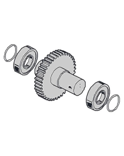 Моторедуктор G2081 G2081I Came 119RIG197 в Пскове Запчасти для шлагбаумов и автоматики Pintop.ru