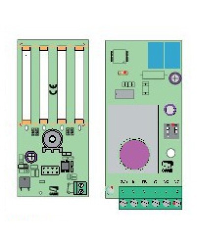 Плата RX DIW01 DBC01 Came 119RIR252 в Пскове Запчасти для шлагбаумов и автоматики Pintop.ru