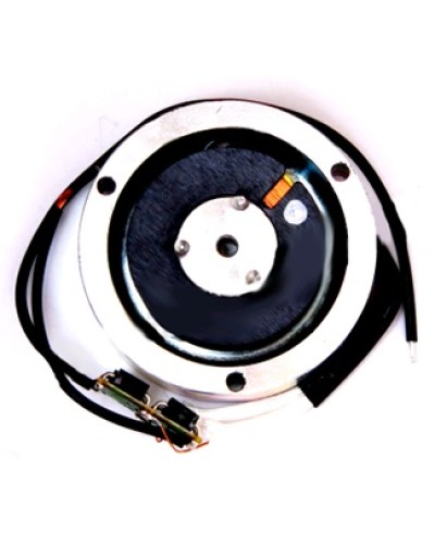 Электромагнит BY1500T Came 119RIY034 в Пскове Запчасти для шлагбаумов и автоматики Pintop.ru