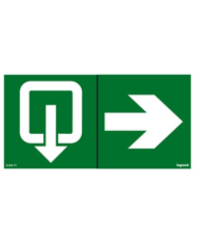 Пиктограмма 100х200 эвакуация стрелка Legrand 661671 в Пскове Дополнительное оборудование для ОПС Pintop.ru